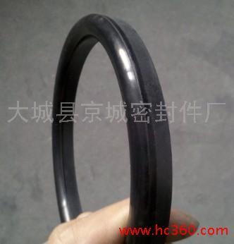 热卖矿山工程机械进口b18蕾型圈 压紧式活塞杆u型橡胶夹织物布密封圈
