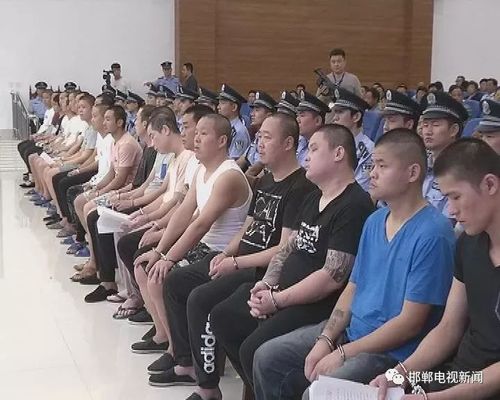 河北省魏县人民检察院起诉指控,自2011年5月份以来,被告人李某军纠集