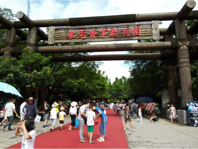 东莞寮步香市动物园门票是多少香市动物园开放了吗
