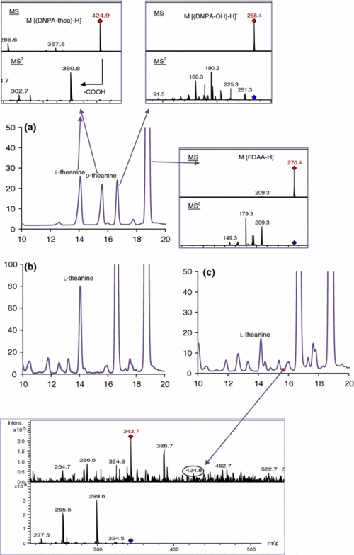 enantiomeric analysis of theanine in different teas (camellia