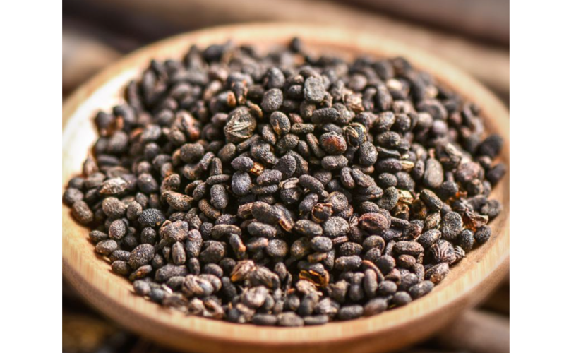 补骨脂的功效与作用-中药补骨脂的副作用及禁忌