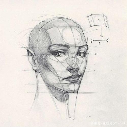 素描头像面部结构解析!超有用,建议收藏!