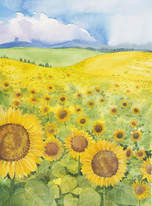 正版畅销曹文轩经典品读书系荐选草房子青铜葵花根鸟山羊不吃天堂草4