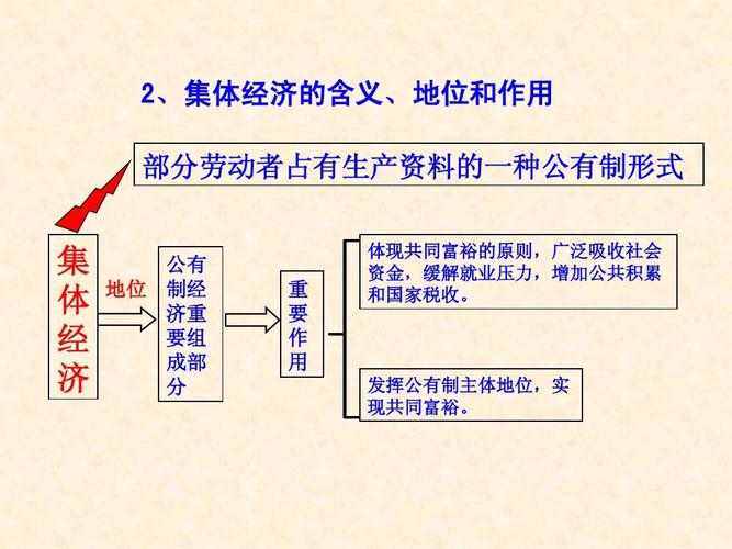 发挥公有制主体地位,实 现共同富裕.