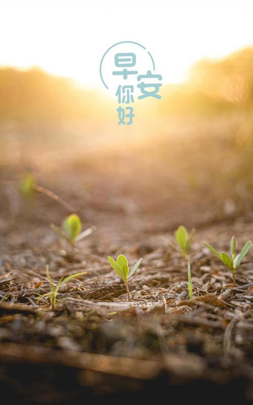 最新的早上好图片,锁屏图片,高清手机壁纸,非主流