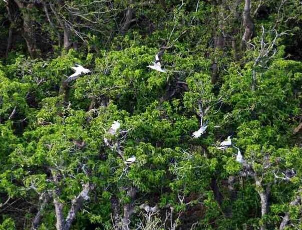 【鸿海天下】中国的西沙群岛,风景胜过马尔代夫!