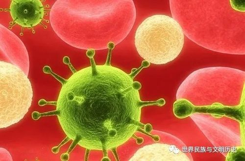地球生物全系列从单细胞到人类变形菌门α变形菌纲下