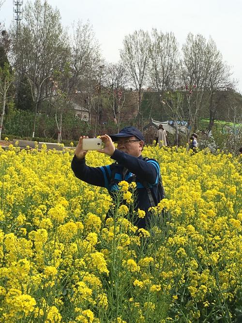 2019年3月30日许昌襄城首山油菜花盛开