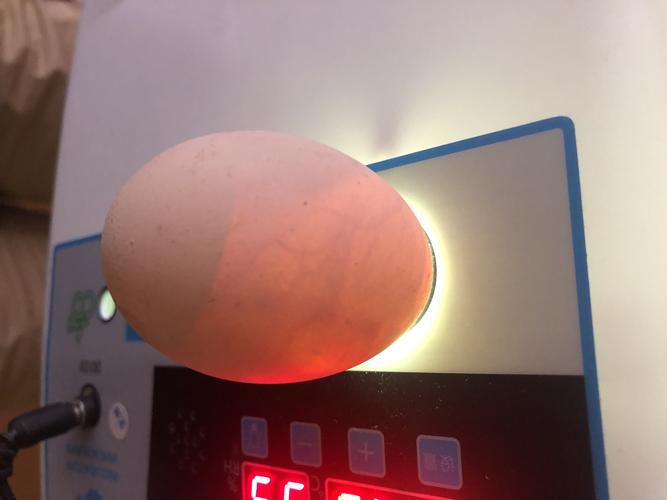 不可复制的时光