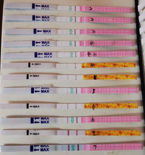 移植第六天,排卵试纸不断加深,早孕