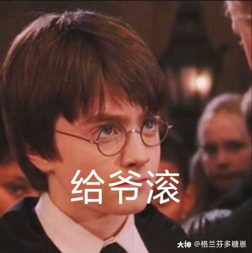哈利波特表情包