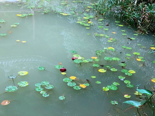 雨后小清新_小清新_文化_绘画