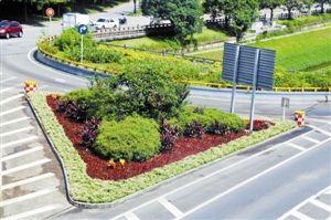 道路绿化