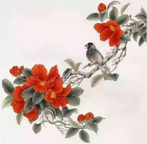 茶花文鸟图工笔创作示范