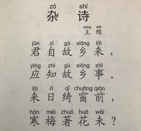 一,古诗《杂诗》