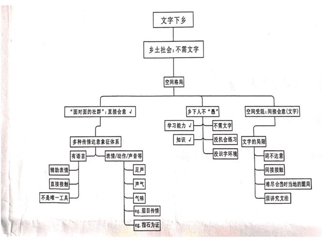 乡土中国思维导图