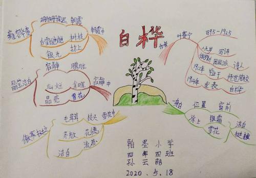四年四班《白桦》思维导图集