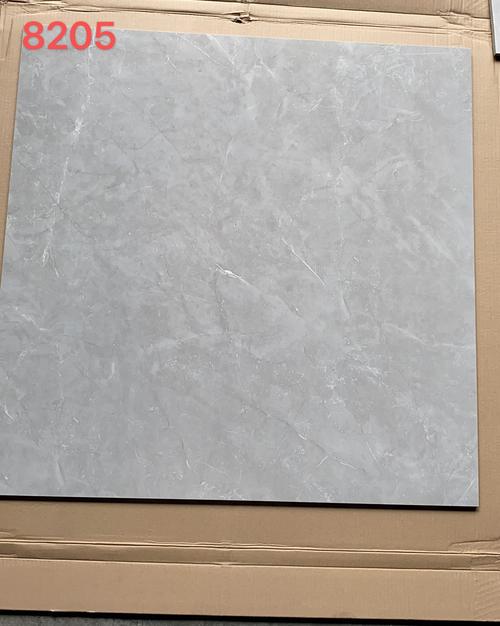 冠珠陶瓷砖全抛釉客餐厅卧室8202 8205 8207 优等品