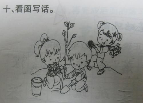 看图写话训练——植树图片
