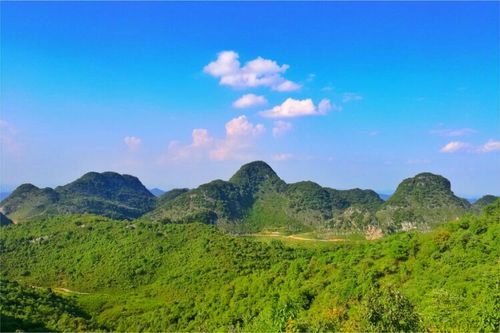 云上花海(贵州屋脊.大韭菜坪)