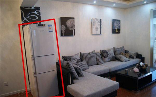 冰箱不可放客厅