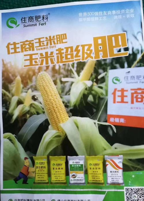 超级玉米肥料住商造,玉米好种请找徐春禄(15029718699)让高产玉米更