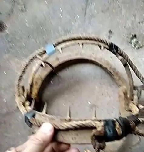 韶关一男子"放夹子"捕野猪,结果把自己捕进"牢笼"!