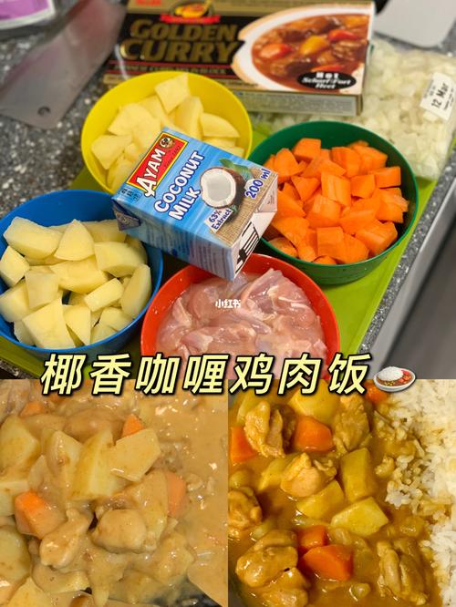 英国9297自制 椰香咖喱鸡肉饭99_咖喱_洋葱_胡萝卜_鸡腿_椰浆