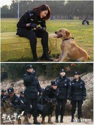 近日,电视剧《警花与警犬》在浙江卫视播出,并在7月30号迎来大结局