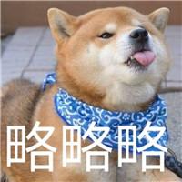 都是戏精小可爱萌萌宠物搞笑表情包头像