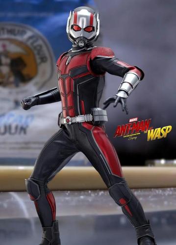 hot toys蚁人3.0出货!