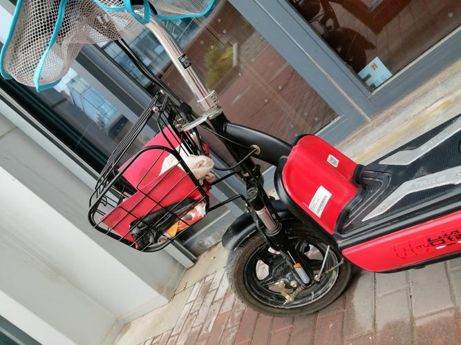 闲置一辆台铃电动车,95新,无任何磕碰,剐蹭,没有淋过雨,充电器都带