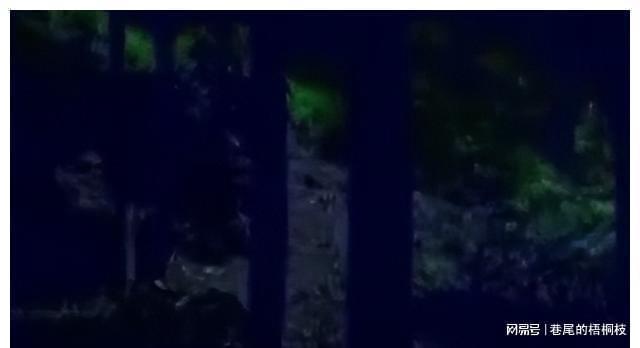 1994年警方抓到一伙盗墓贼盗墓贼交代墓中的干尸竟睁开了