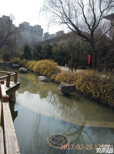 春天的西安北郊城市运动公园掠影!