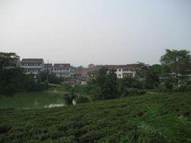 三界镇(安徽省明光市三界镇)