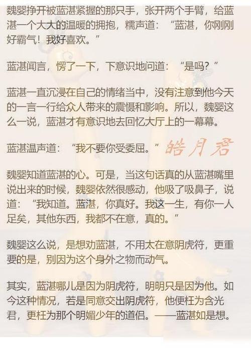 《忘羡篇:了愿》第58章超燃蓝湛vs可爱蓝湛