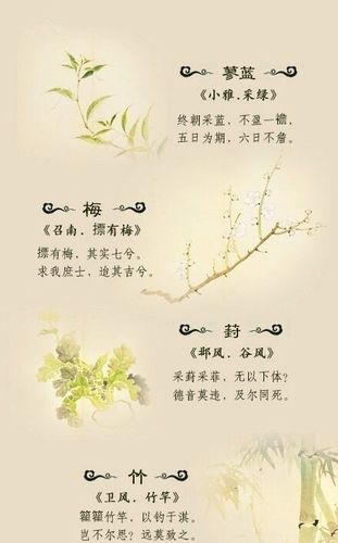 "《诗经》里优美的植物诗句…"更多精彩敬内容请关注