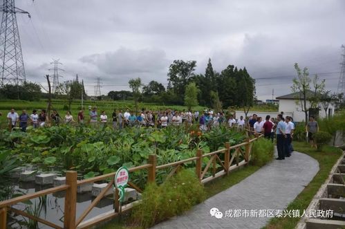 泰兴镇举办新都区2018年农村人居环境百日攻坚竞进拉练现场会