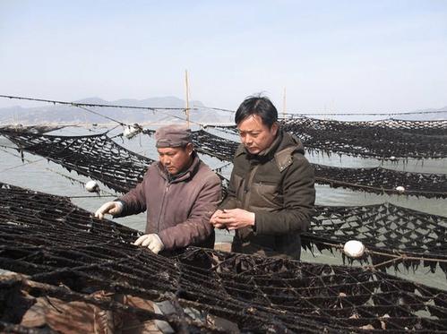 海的味道,只有你尝试过潮汕的紫菜之后,你才会彻底的