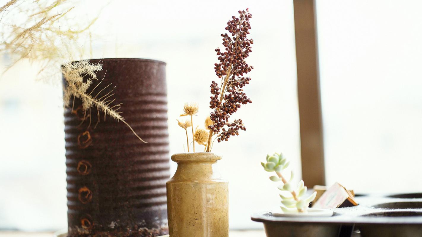 首页 桌面壁纸 高清壁纸 治愈系小清新静物唯美高清壁纸1920_1080手机