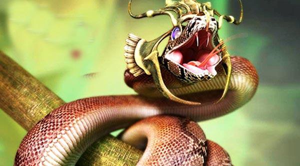 惊奇:毒蛇被"斩首"后二十分钟复活报仇!