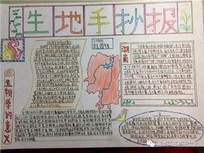 生地会考手抄报大全-在线图片欣赏