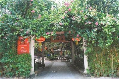 位于增城的美丽乡村蒙花布村(资料图) 广州日报全媒体记者乔军伟摄