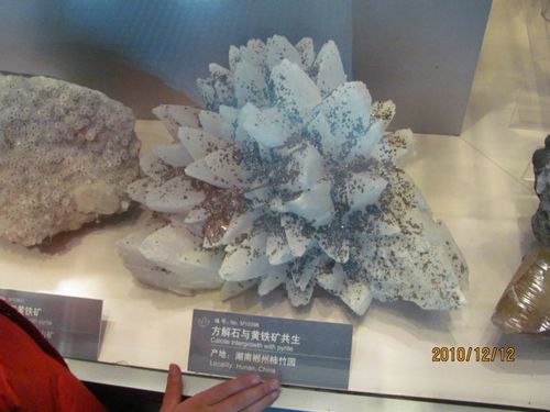 中国地质博物馆