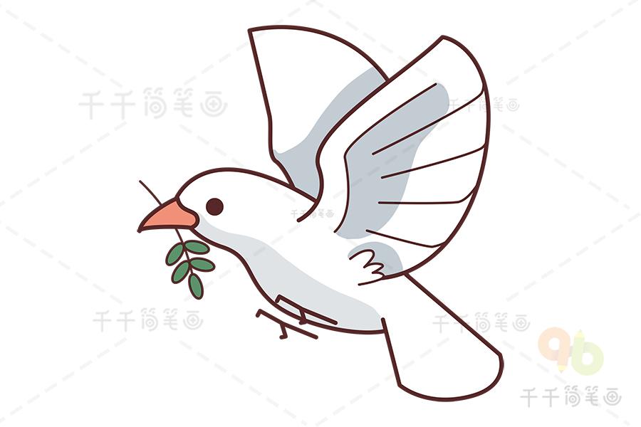 第五步:涂上颜色,和平鸽简笔画就完成啦!