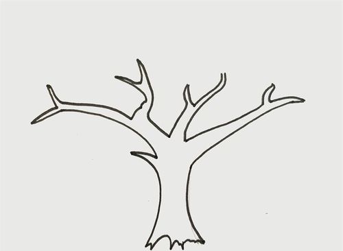 树冠怎么画_植物简笔画_简笔画大全