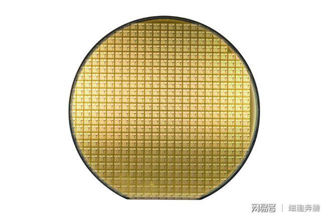 半导体订单爆满晶圆代工厂涨势不停歇