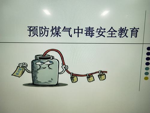 紫阳蔚稚大a班《预防煤气中毒安全教育》