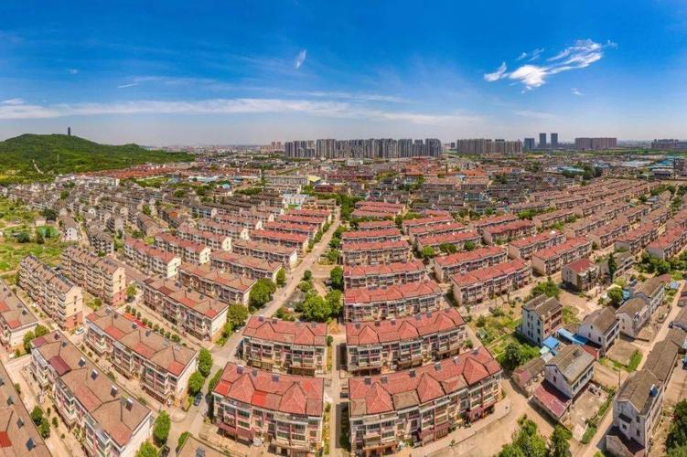 港西村聚焦四美并进全力打造高颜值美丽村居