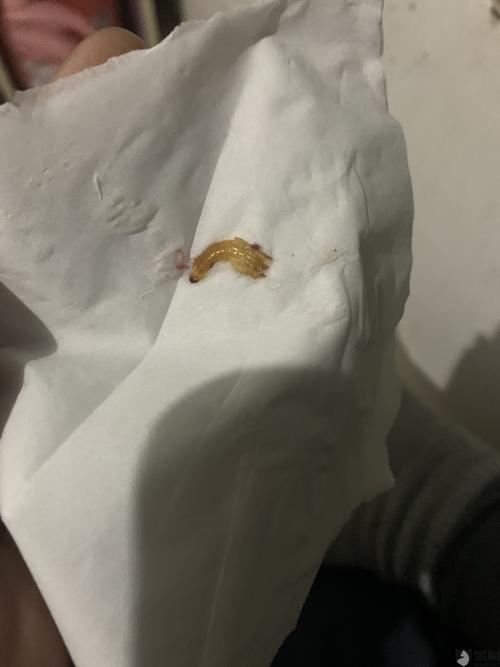 蜜雪冰城饮料喝出虫子